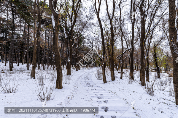 中國長春南湖公園冬季風景