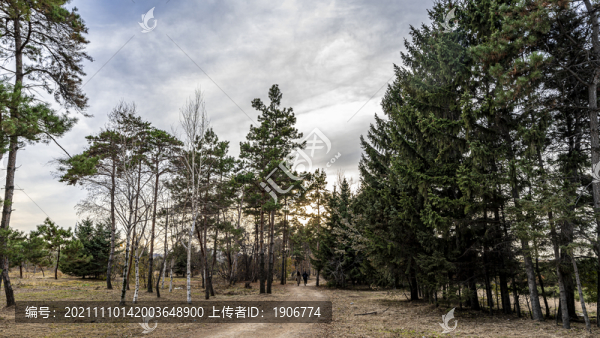 中國長春百木園秋季風(fēng)景