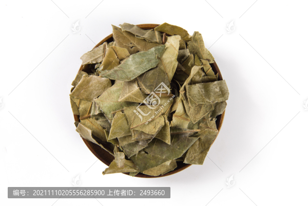 白底上的中藥材枇杷葉