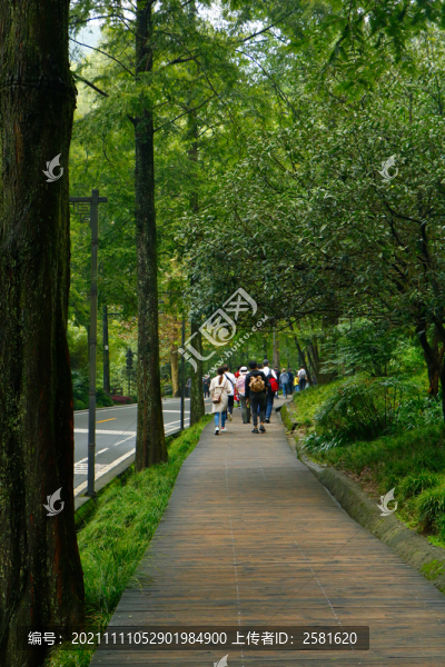 青城后山風(fēng)景區(qū)