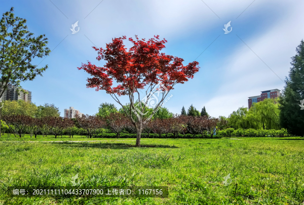 北京園林風(fēng)光
