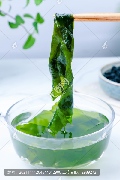 海菜裙帶菜