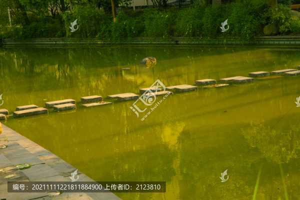 小池塘
