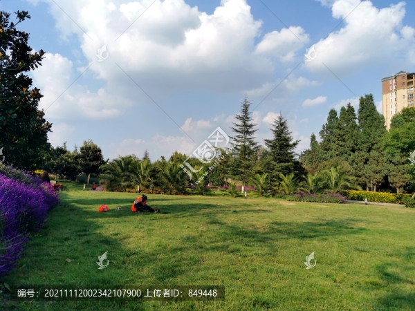 園林景觀綠化草坪養(yǎng)護(hù)