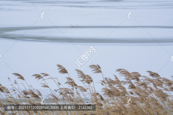 雪景
