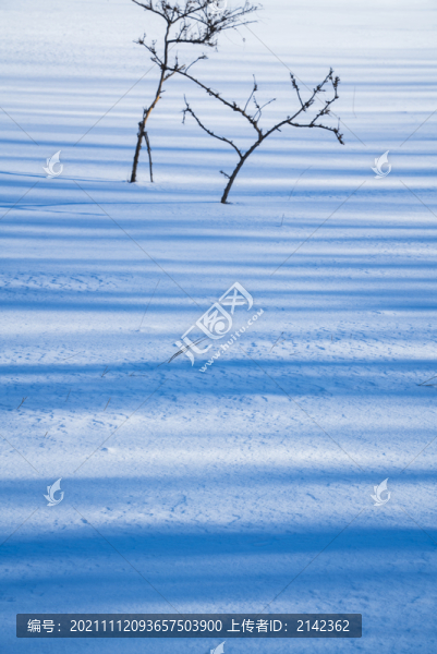 雪景