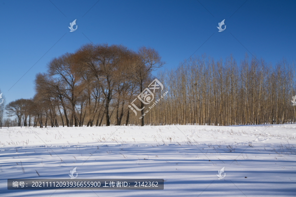 雪景