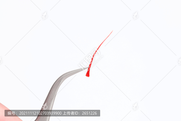 藏紅花