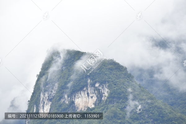 山中晨霧