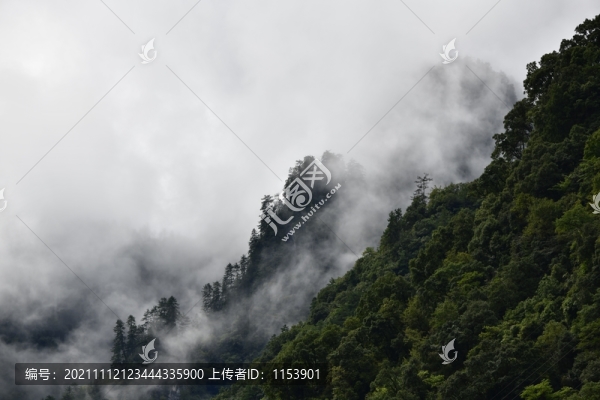 晨霧