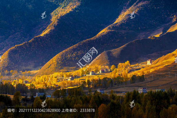 壩上風(fēng)光