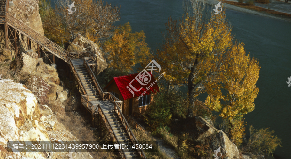 秋葉