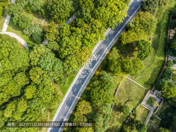 航拍森林道路交通