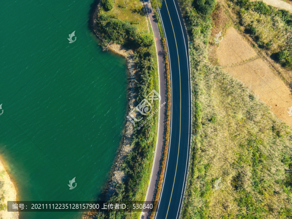 航拍樹林公路