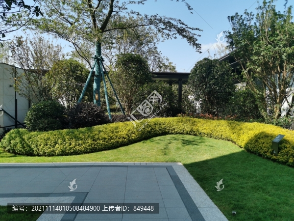 小灌木園林景觀微地形