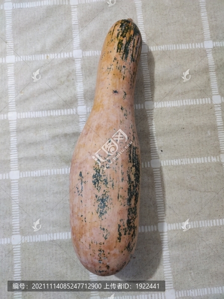 枕頭北瓜