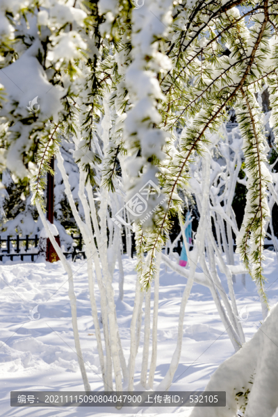 大明湖初雪后美景