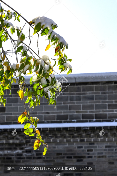 大明湖初雪后美景