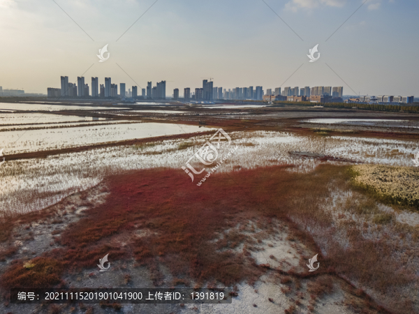 青島市膠州市洋河口濕地