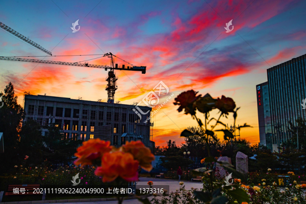 雕塑公園秋色