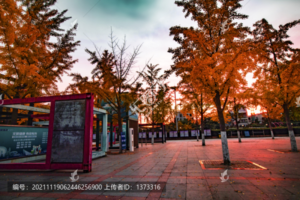 雕塑公園秋色