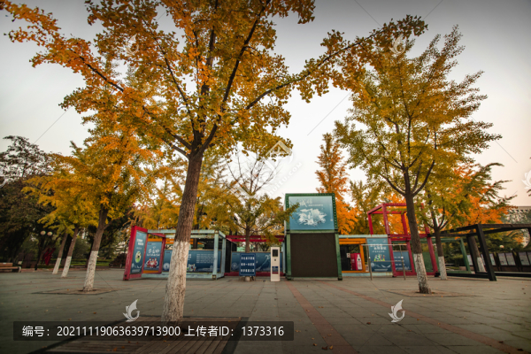 雕塑公園秋色