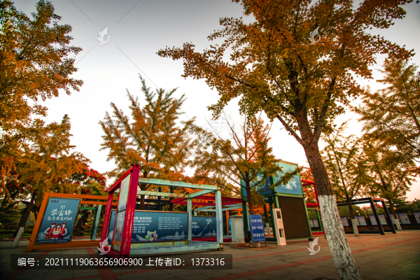 雕塑公園秋色