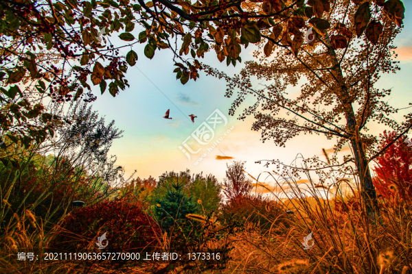 雕塑公園秋色