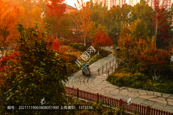 雕塑公園秋色