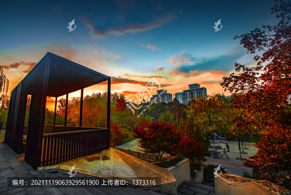 雕塑公園秋色