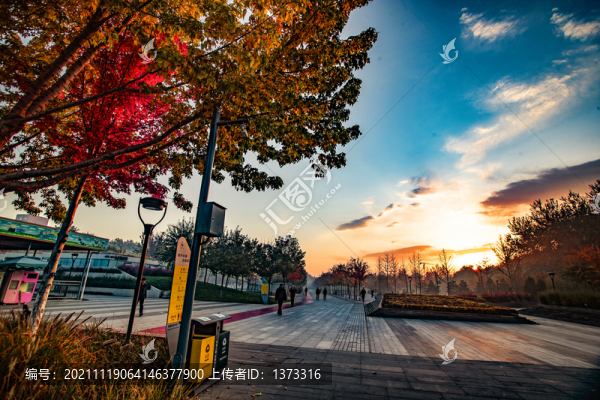 雕塑公園秋色