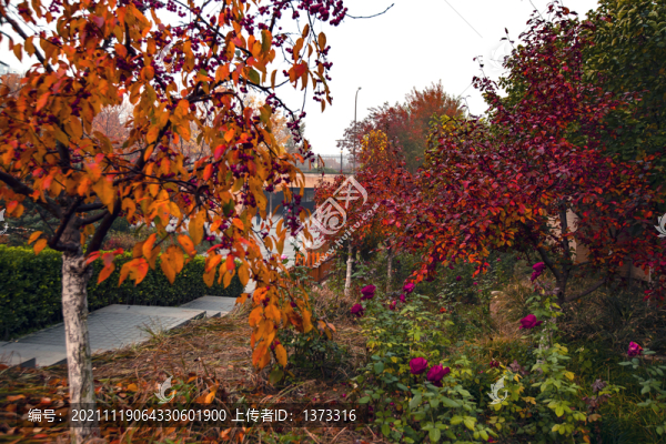 雕塑公園秋色