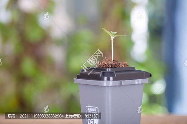 垃圾桶蓋子上長出一顆嫩芽