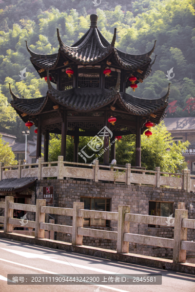 暖陽秋意
