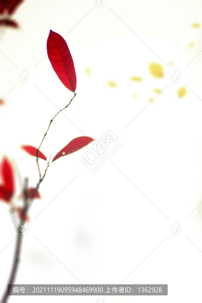 秋景