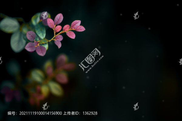 秋景
