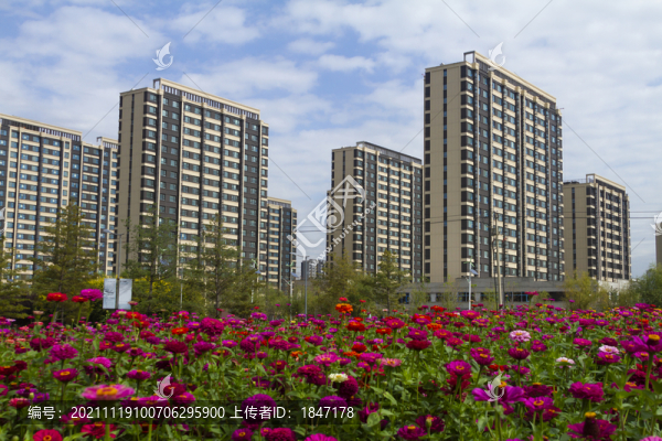 長春北湖花海