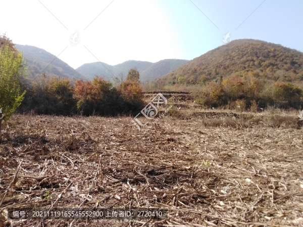 秋天的田野