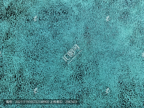 水藍(lán)綠科技布仿皮紋理