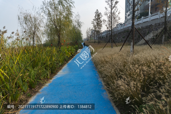 公園小道