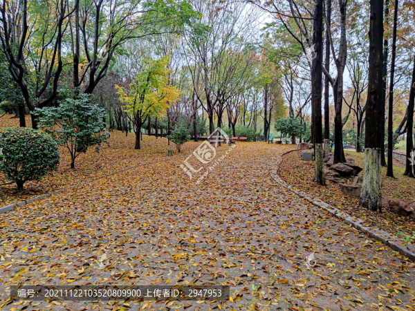 公園秋天
