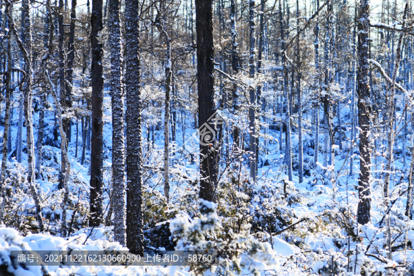 林海雪原風(fēng)光