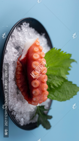 魷魚須