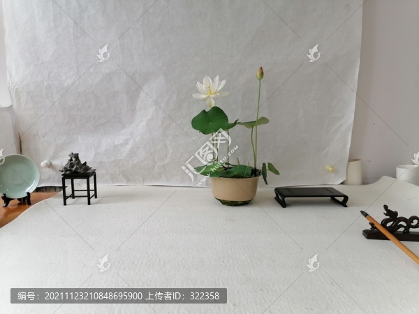碗蓮