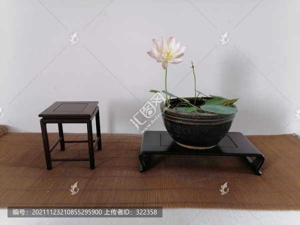 碗蓮