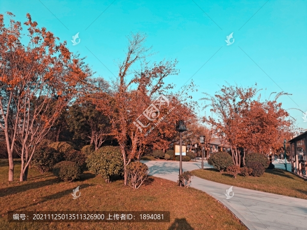 公園秋景