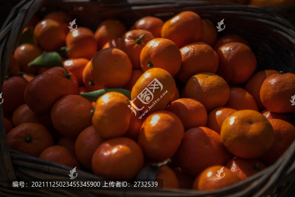 橘子