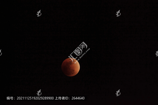 紅月亮