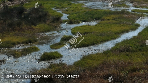 溪水潺潺