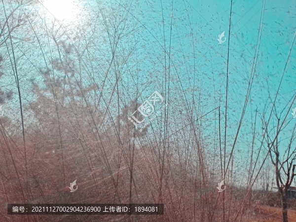 秋景